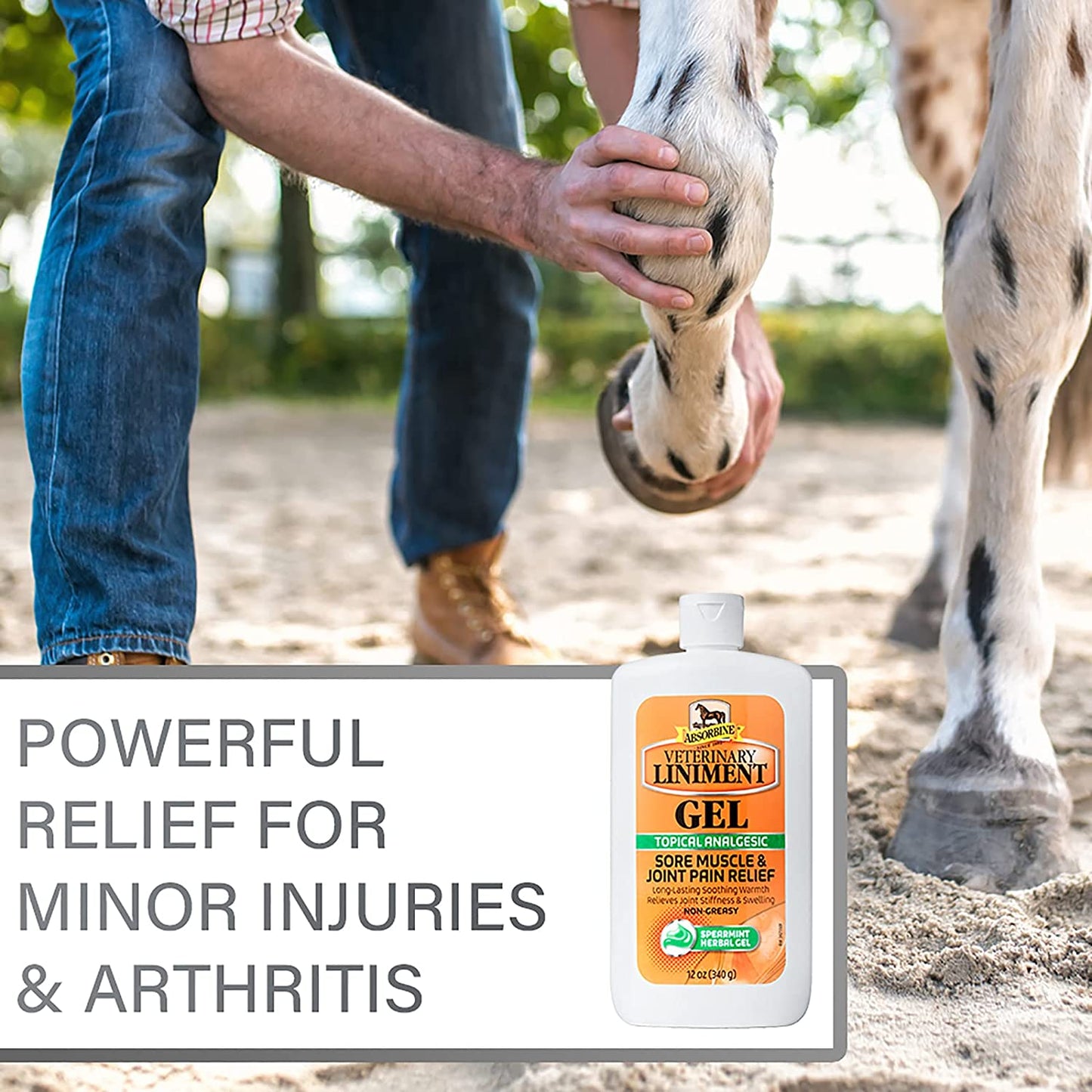 Veterinary Liniment Topical Analgesic Sore Muscle and Arthritis Pain Relief Warming Liniment Rub, 12 Ounce Gel