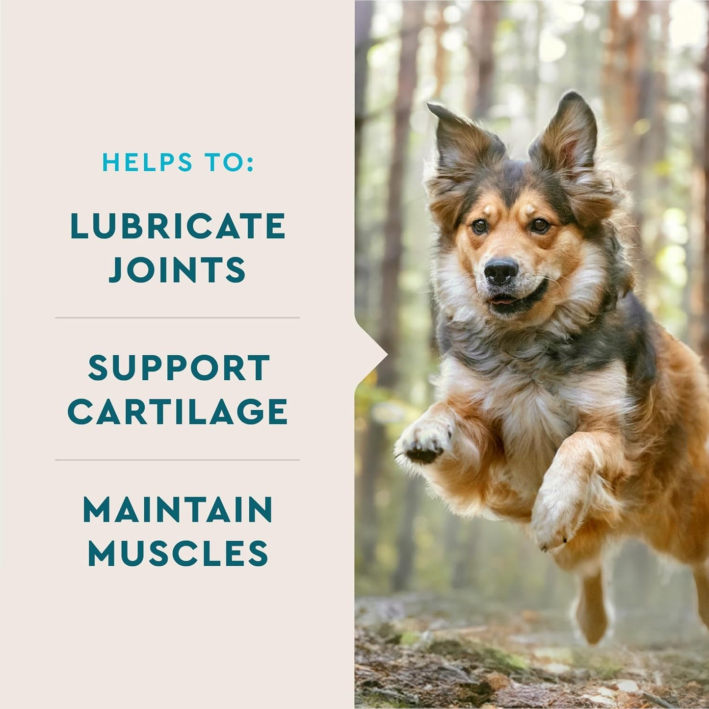 Glucosamine Hip & Joint Supplement for Dogs, 180 Soft Chews, Joint Support Supplement with MSM and Krill, Dog Health Supplies Large & Small Breed, Chicken Flavored Chewables