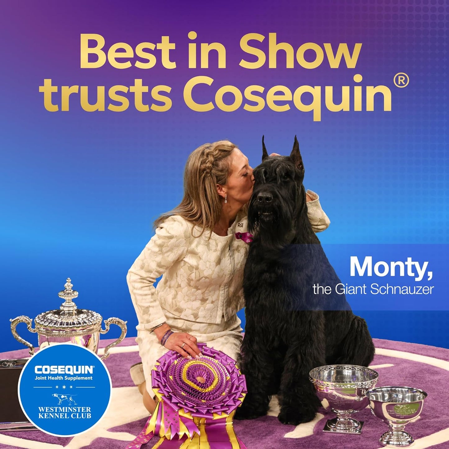 Cosequin for Dogs Joint Health Supplement, Contains Glucosamine for Dogs, plus Chondroitin and MSM, Supports Healthy Joints, Chewable Tablets, 132 Count