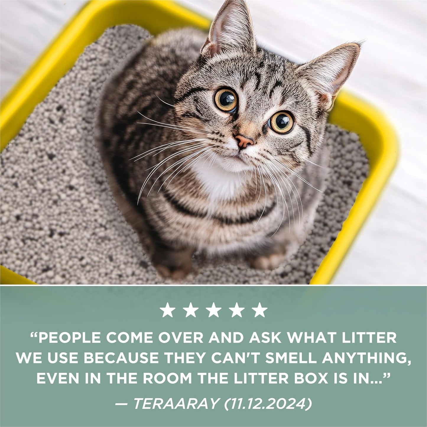 Purina Free and Clean Unscented Cat Litter - 38 Lb. Box