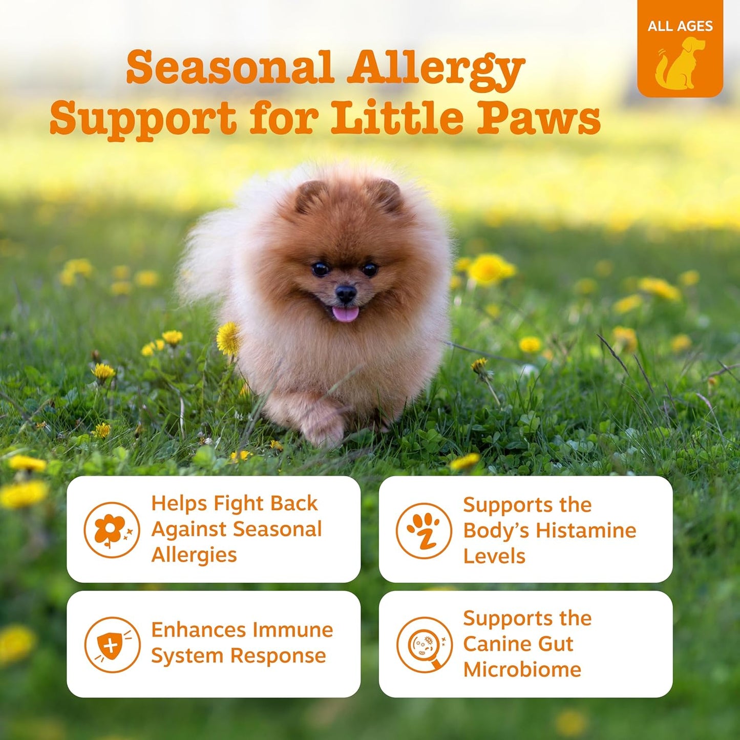 Dog Allergy Relief Chews, Dog Probiotics for Itchy Skin and Ears, Lamb, Mini, 90Ct