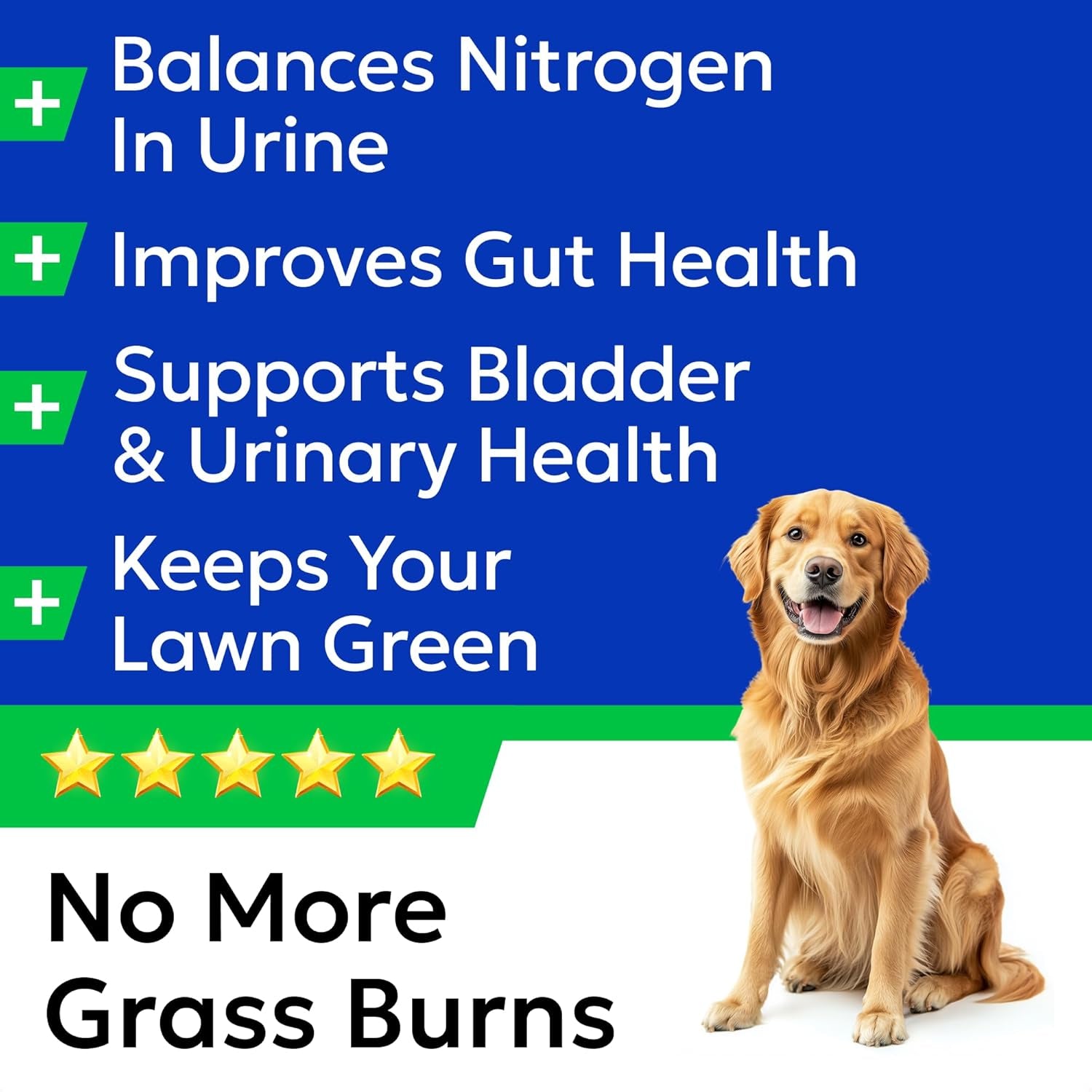 Green Grass Chews - Dog Pee Grass Spot Saver Caused by Dog Urine - Urine Neutralizer for Lawn, Gut Health Probiotics & Enzymes, Lawn Burn from Pee, Grass Burn Spot Chews Rocks