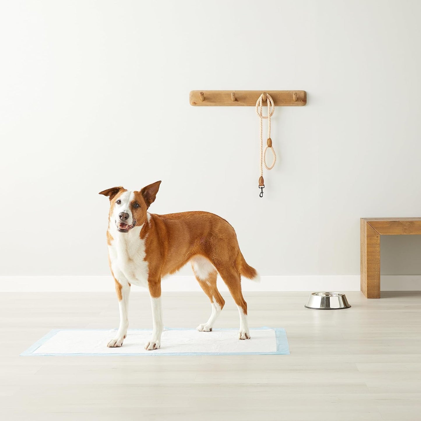 Leakproof Dog and Puppy Pee Pads with 5-Layer Quick-Dry Surface for Potty Training, Standard Absorbency, Giant, 27.5 X 44Inch, Pack of 40, Blue & White