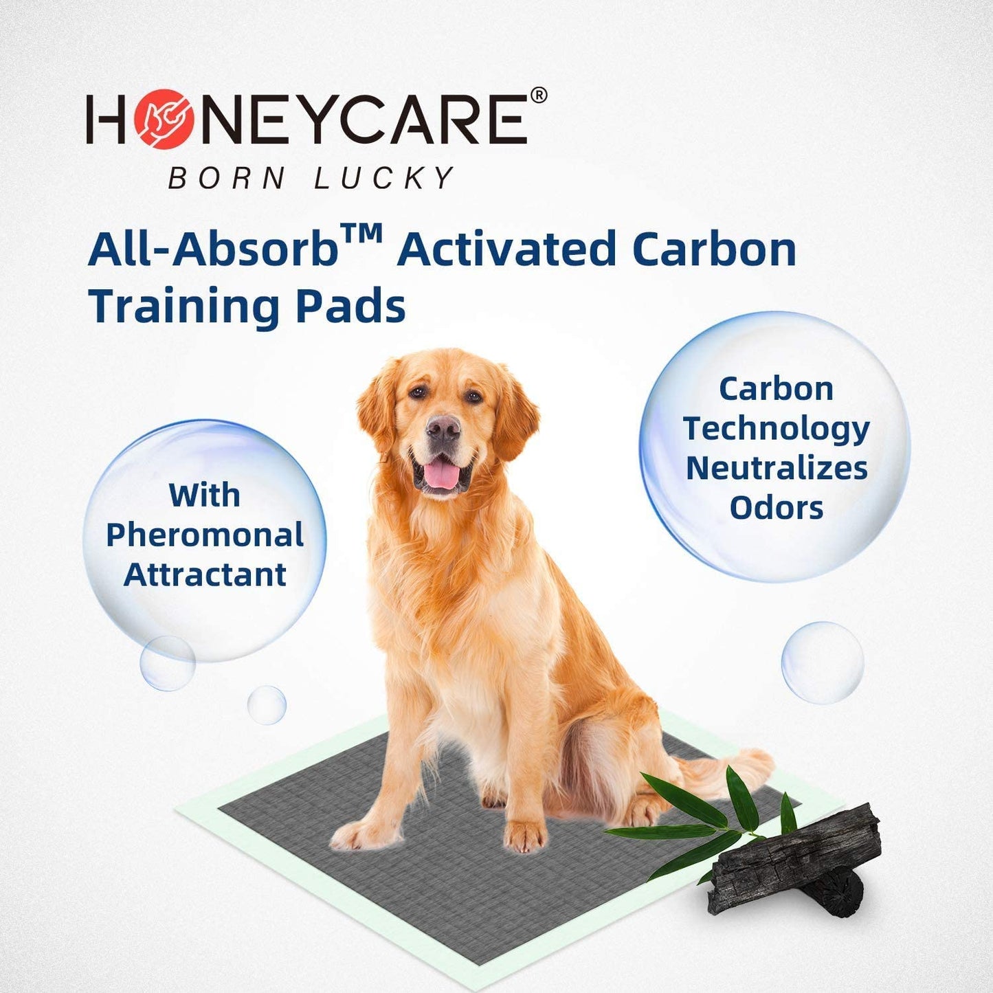 All-Absorb Puppy Training Pads | Doggie Potty Pads Absorb Eliminating Urine Odor, Ultra Charcoal Dog Pee Pad (Carbon, L 22X23 Inch, 100Ct)