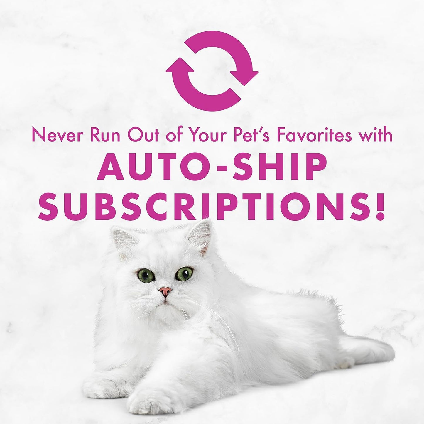 Purina Tender Beef and Chicken Feast Classic Grain Free Wet Cat Food Pate - (Pack of 24) 3 Oz. Cans