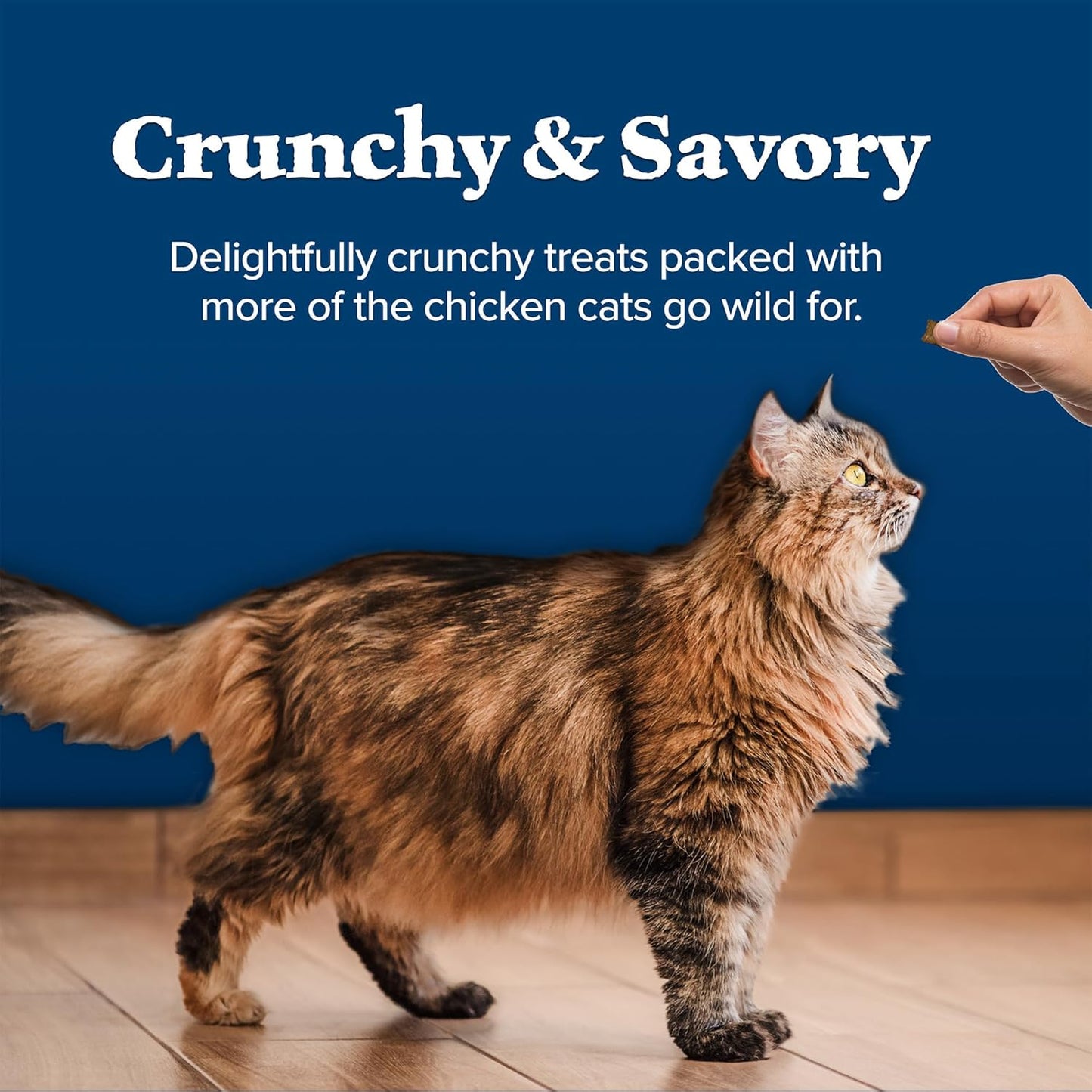 Wilderness Crunchy Cat Treats, Chicken 12-Oz Tub