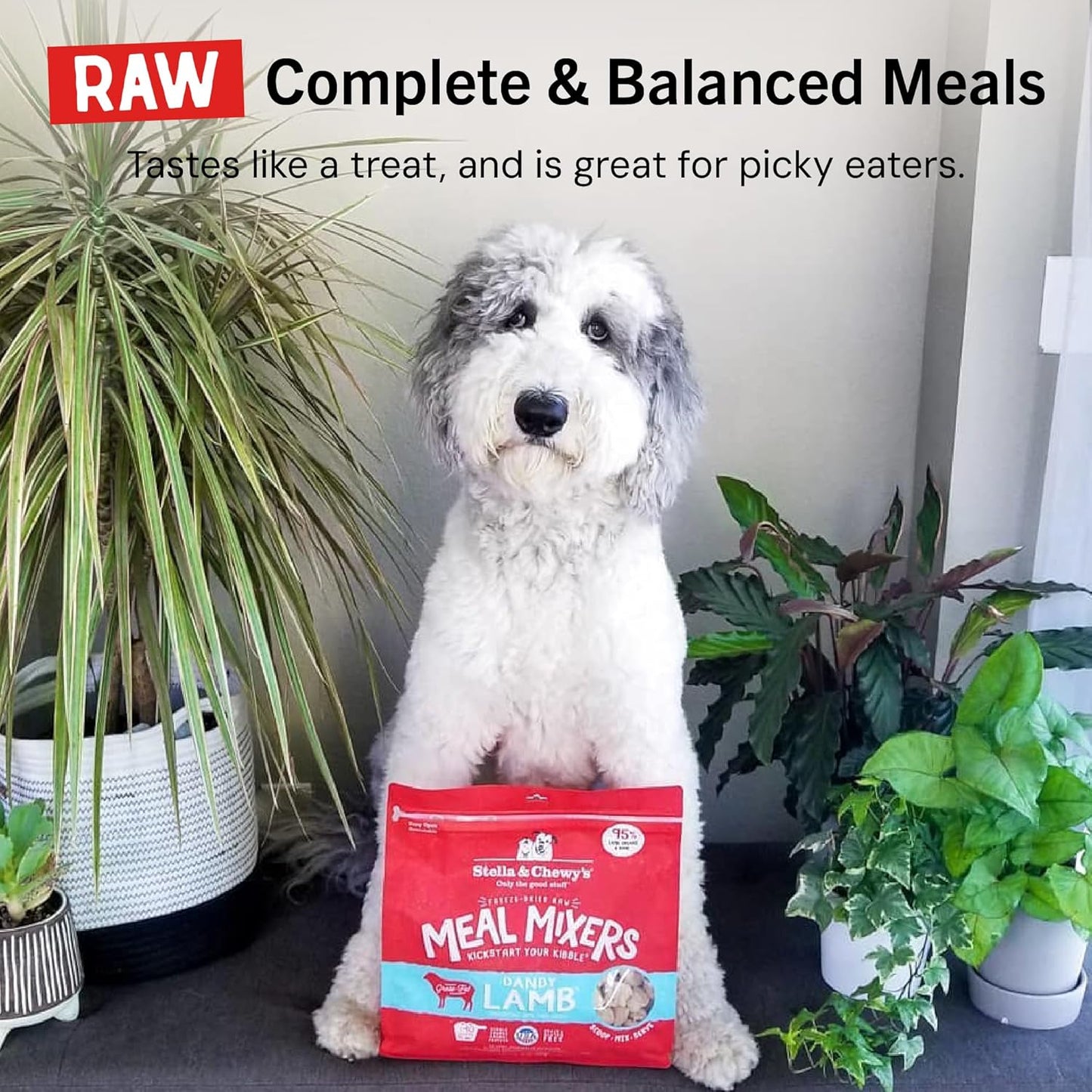Freeze-Dried Raw Lamb Meal Mixers- Dog Food Topper and Mixer - Made with 95% Grass-Fed Lamb, Organs & Bone - Perfect for Picky Eaters - Grain-Free - 18 Oz