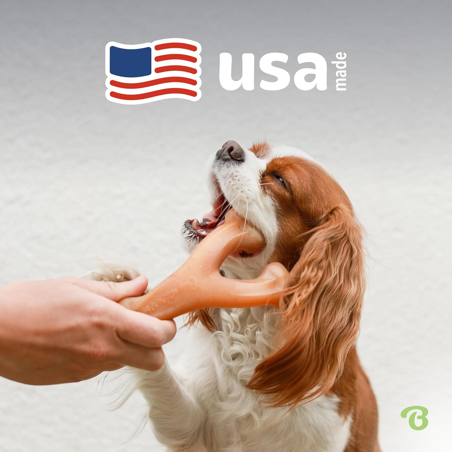 Wishbone Durable Dog Chew Toy for Aggressive Chewers, Made in USA, Large, Real Bacon Flavor