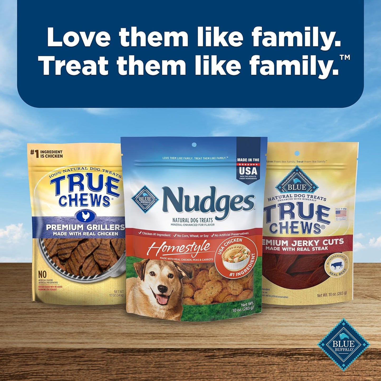 Nudges Homestyle Natural Dog Treats Made with Real Chicken, Made in the USA, Chicken, 10-Oz Bag