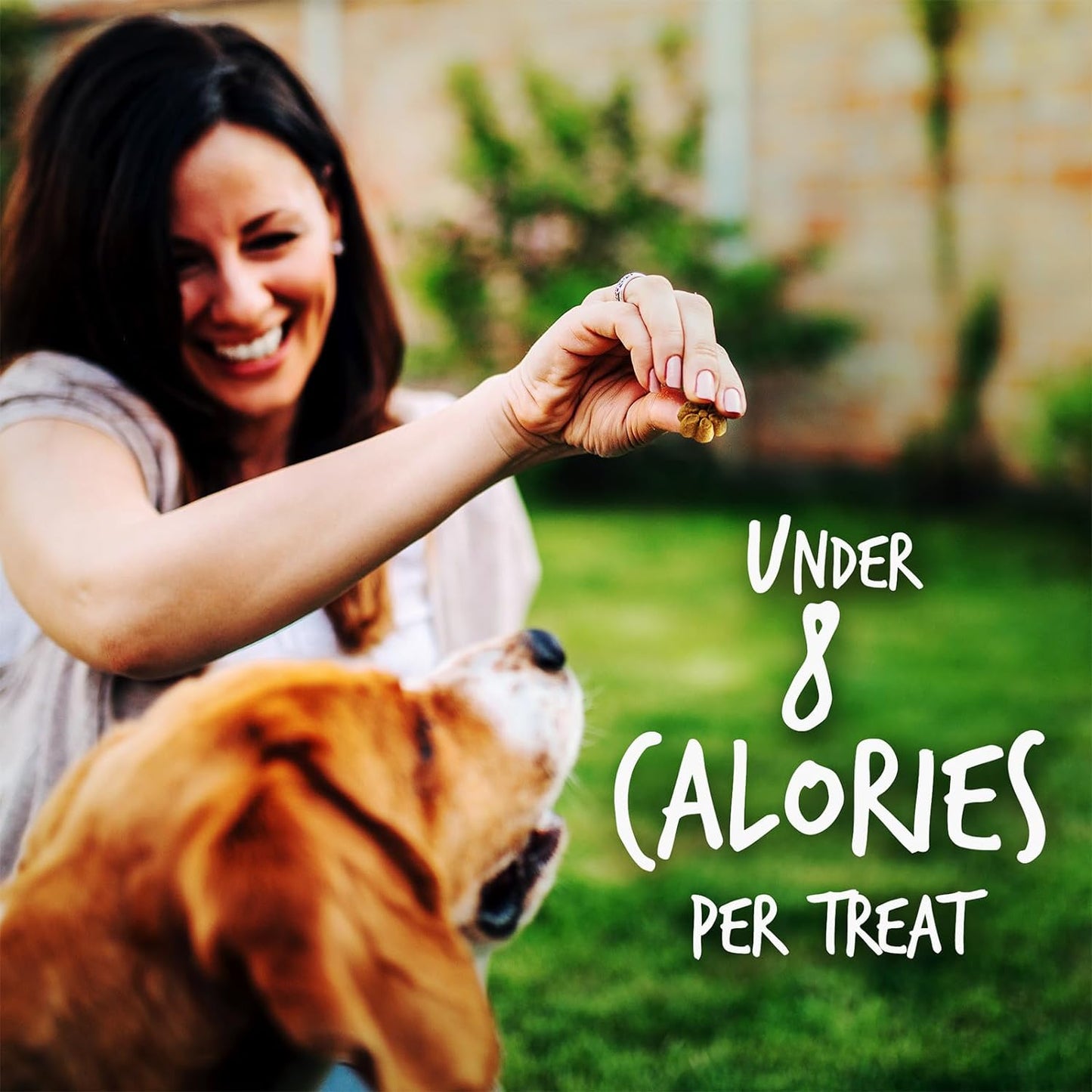 Baked Dog Treats, Healthy Pumpkin Treat for Dogs, Low Calorie & Delicious, Free of Wheat, Corn and Soy, Made in the USA, Apple and Crispy Bacon Flavor, 12Oz