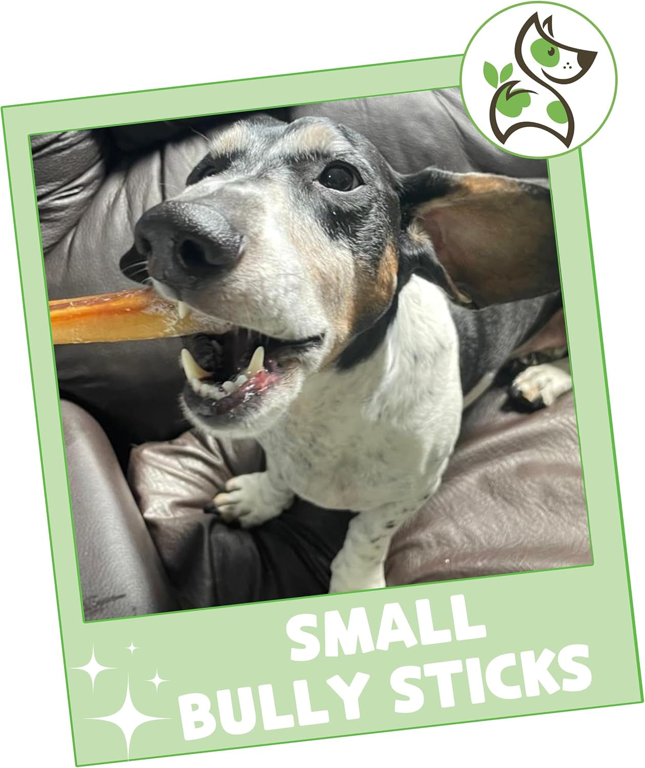 Small Bully Sticks for Dogs 5-6" (15 Count) - Long Lasting for Light Chewers and Puppies - Natural Thin Beef Dog Chew Bones - Rawhide Free