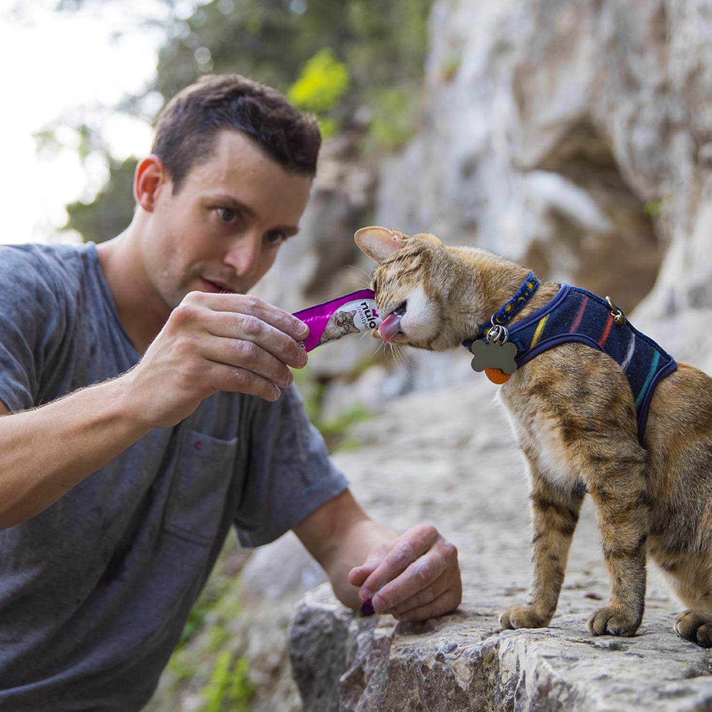 Freestyle Grain-Free Perfect Purees Premium Wet Cat Treats, Squeezable Meal Topper for Felines, High Moisture Content to Support Cat Hydration, 0.5 Ounce, Variety Pack