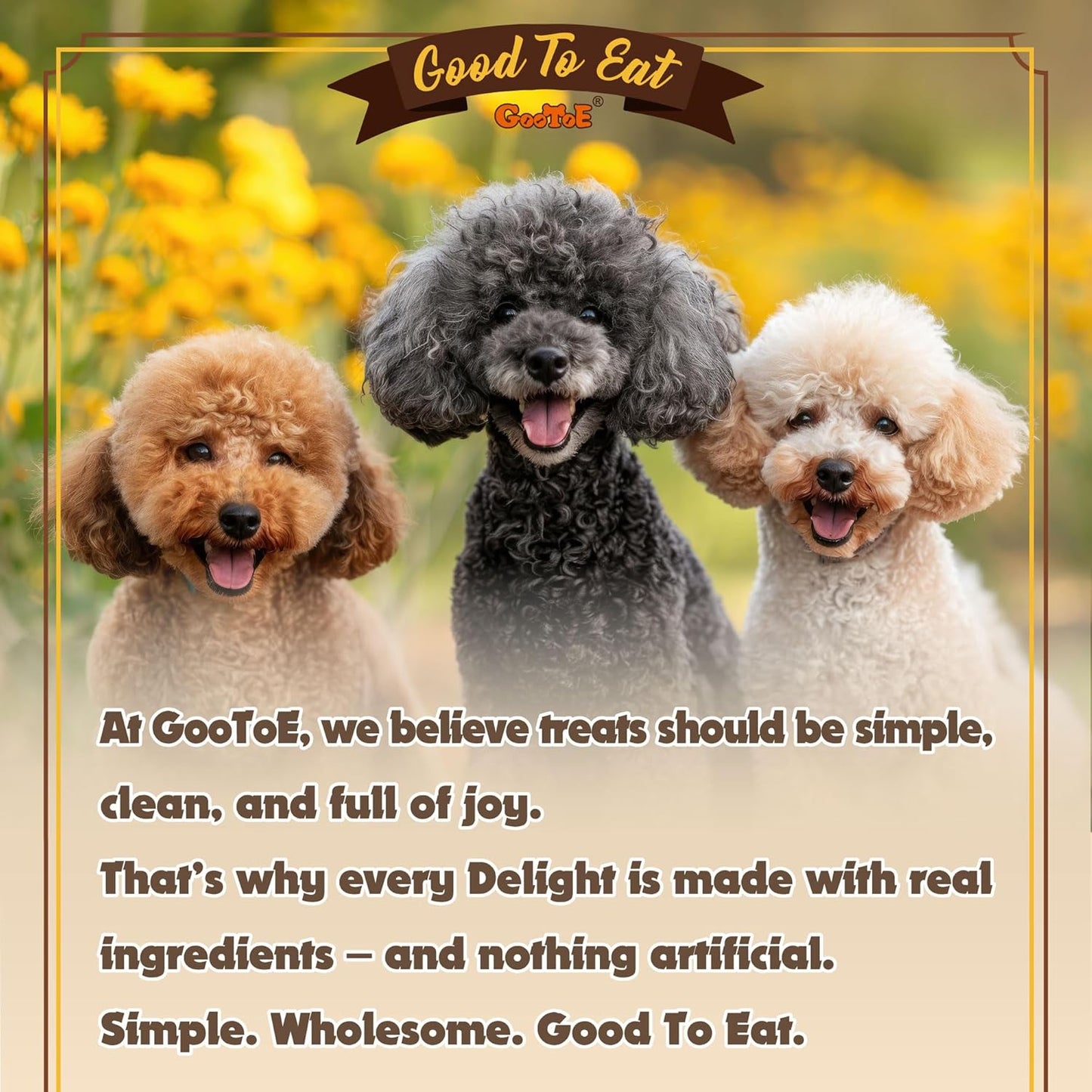 Turkey Tendons for Dogs – All-Natural, Hypoallergenic Dog Treats, Rawhide Alternative, Long Lasting Puppy Chews, Healthy Dog Treats for Small Breeds, Strips, 16 Oz Pack (1 Lb)