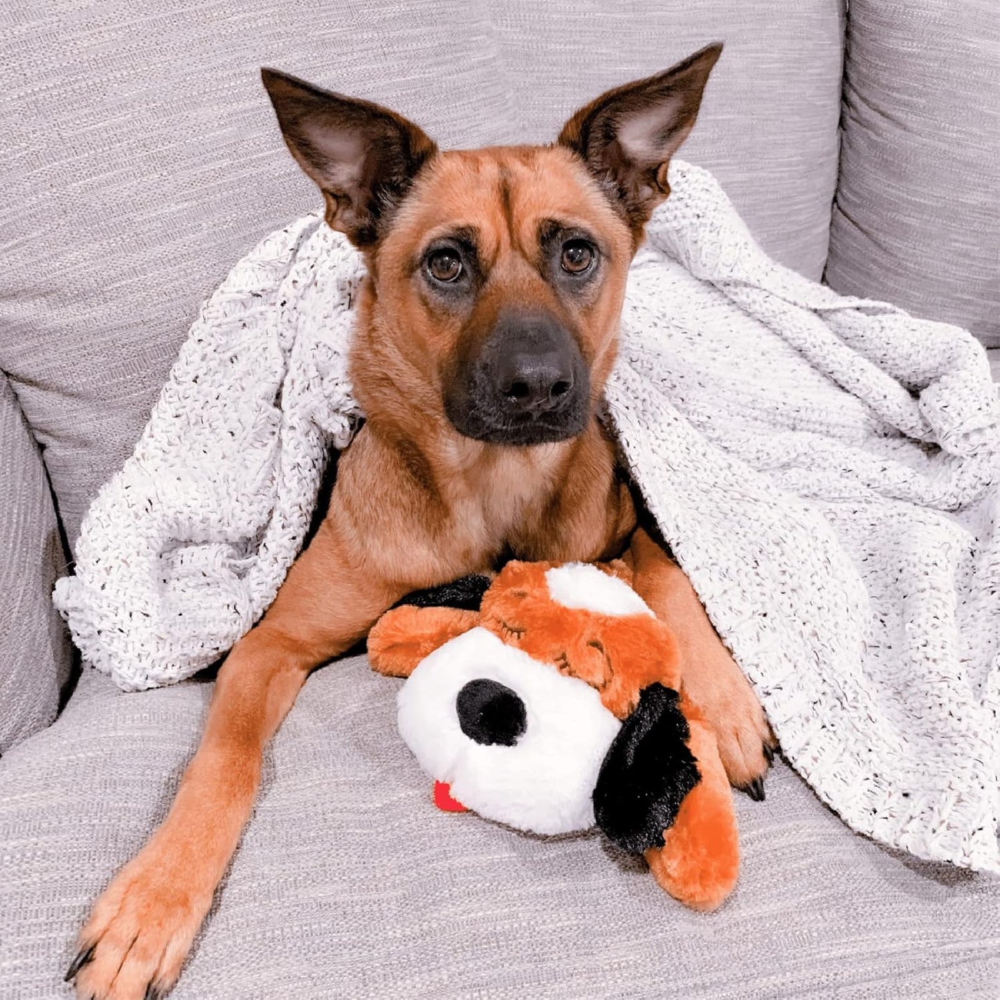 Original Heartbeat Puppy Toy - Heartbeat Puppy for Dogs - Pet Anxiety Relief and Calming Aid - Comfort Dog Toy - Behavioral Training and Sleep Aid Cuddle Buddy - Crate Training Essential