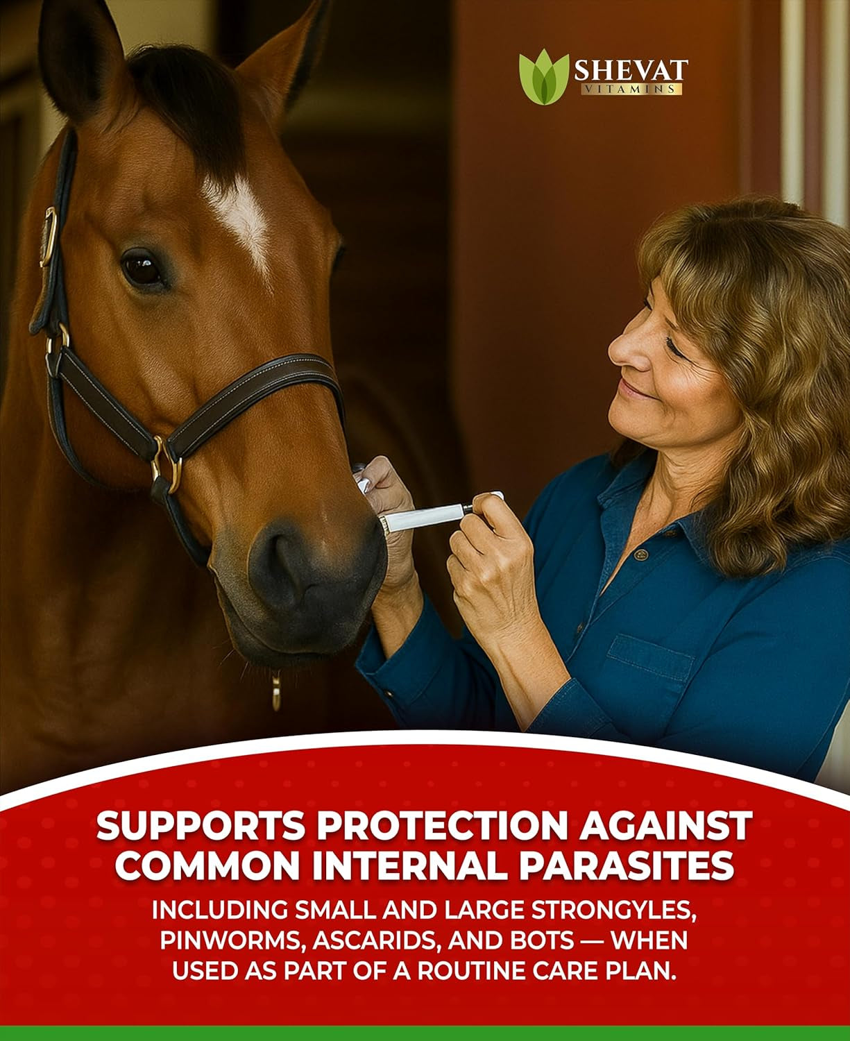 Ivermectin Horse Paste 1.87% – Apple Flavored – 6.08G Tube – for Horses up to 1250 Lb