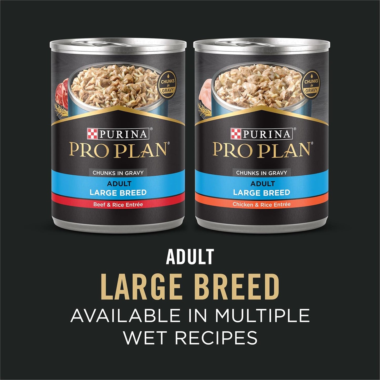 High Protein, Digestive Health Large Breed Dog Food Dry, Chicken and Rice Formula - 18 Lb. Bag