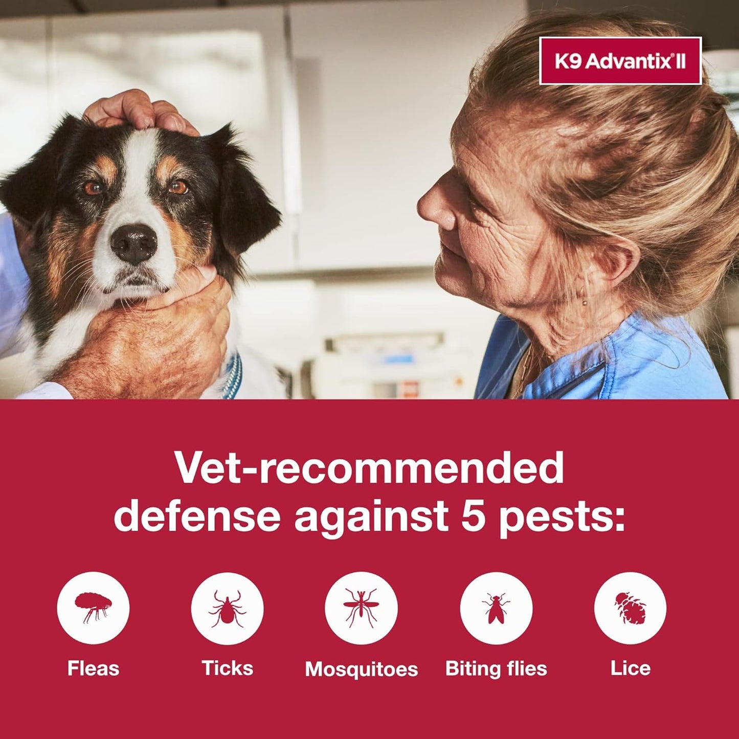 II Large Dog Vet-Recommended Flea, Tick & Mosquito Treatment & Prevention | Dogs 21-55 Lbs. | 1-Mo Supply
