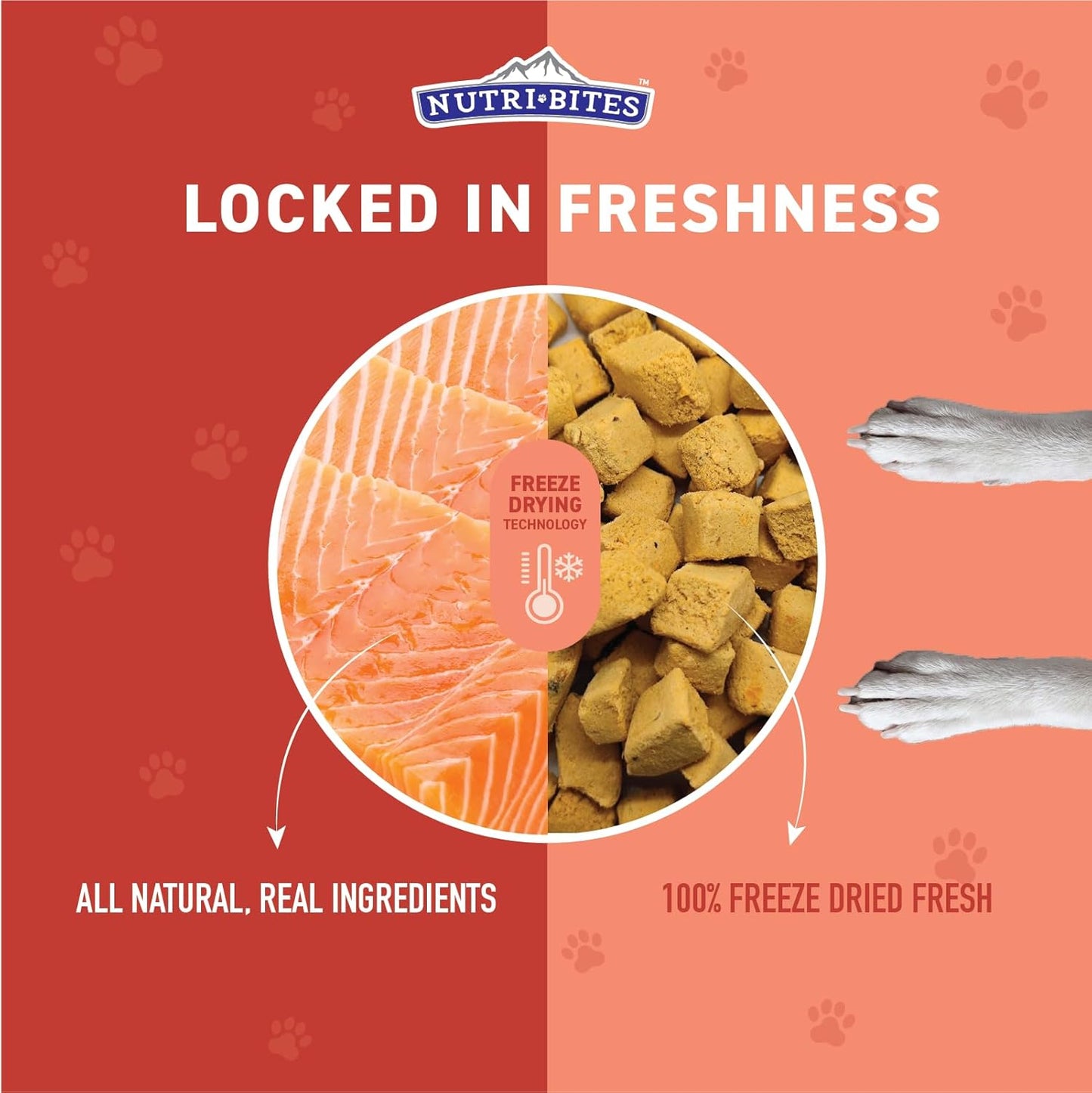 Freeze Dried Salmon Dog & Cat Treats | Healthy Pet Training Treats or Food Topper | All Natural, 1 Single Animal Protein, High Protein | Premium Bulk Value Pack, 14 Oz