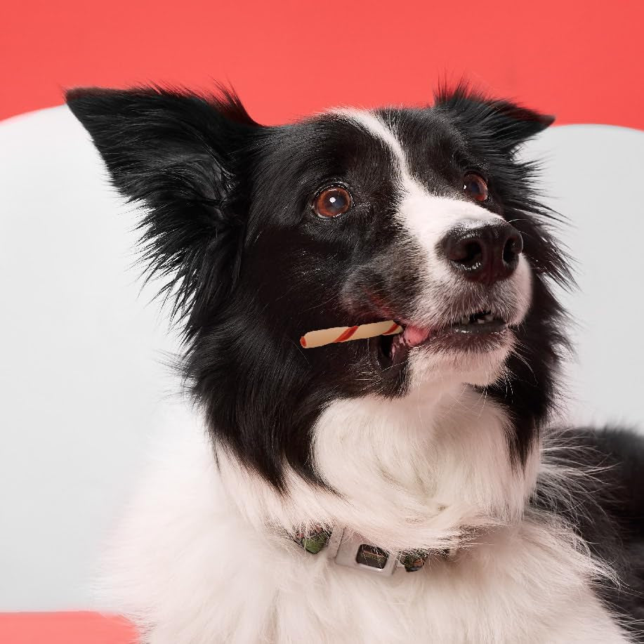 Twist Sticks, Made with Real Bacon and Cheese Flavor, Rawhide-Free Chews for Dogs, 50 Count