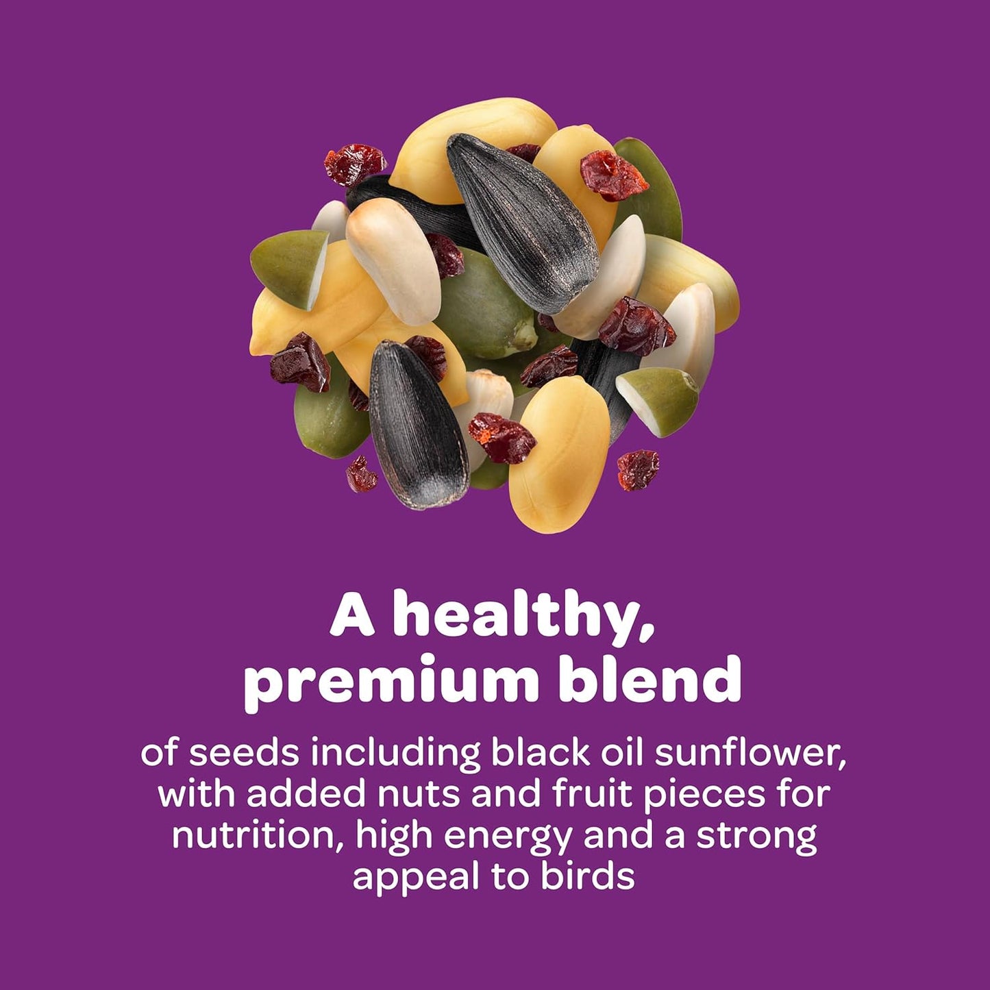 Nut & Fruit Wild Bird Seed, 5 Lb