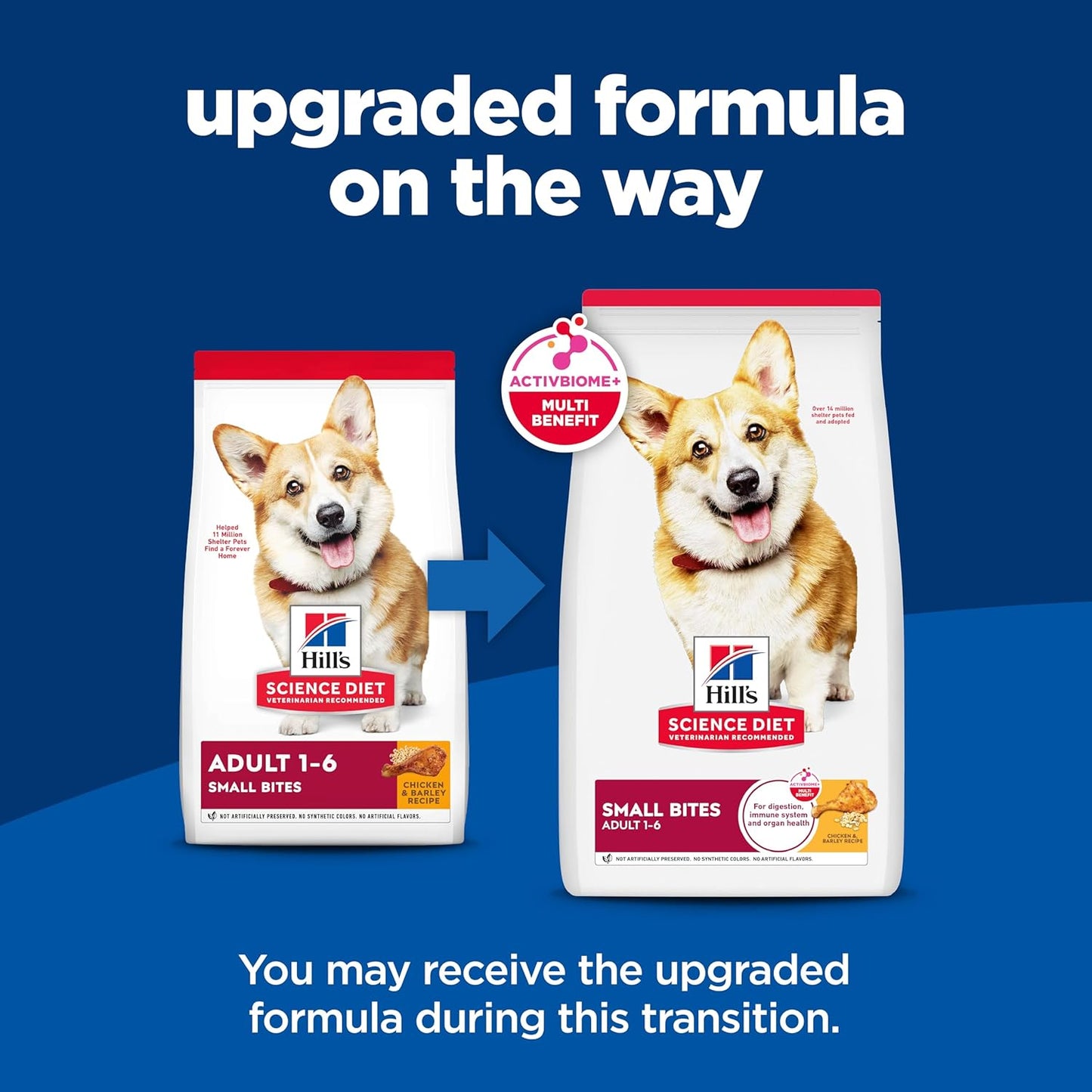 Adult 1-6, Adult 1-6 Premium Nutrition, Small Kibble, Dry Dog Food, Chicken & Barley, 15 Lb Bag