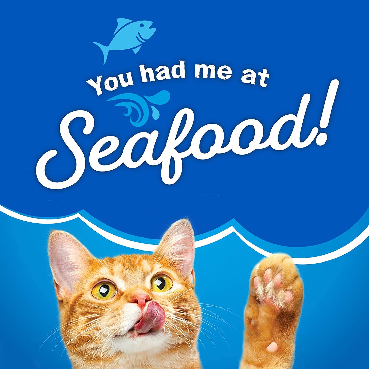 Purina Dry Cat Food Seafood Sensations with Salmon, Tuna, and Shrimp Flavors - (Pack of 4) 3.15 Lb. Bags