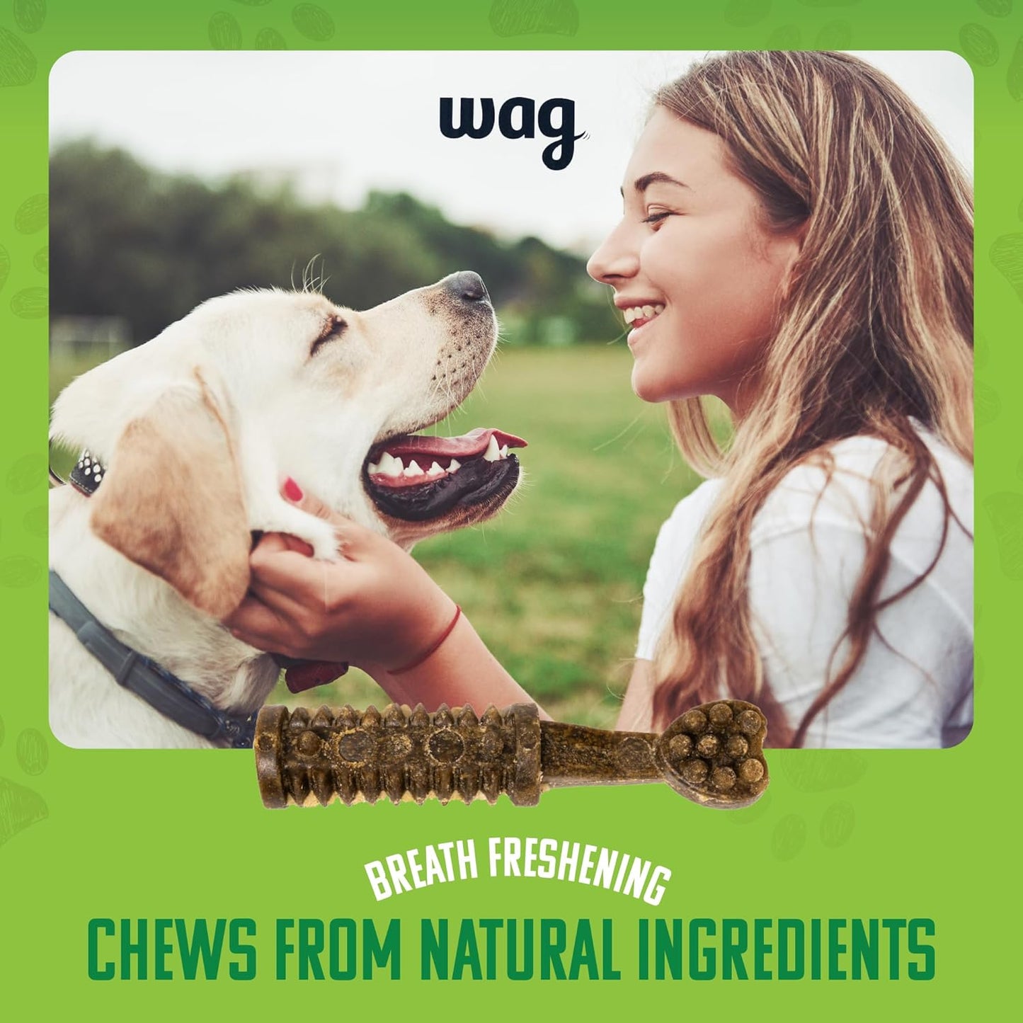 Amazon Brand - Dental Dog Treats to Help Clean Teeth & Freshen Breath Tiny, 2.25 Pounds, Unflavored - 130 Count, Pack of 1