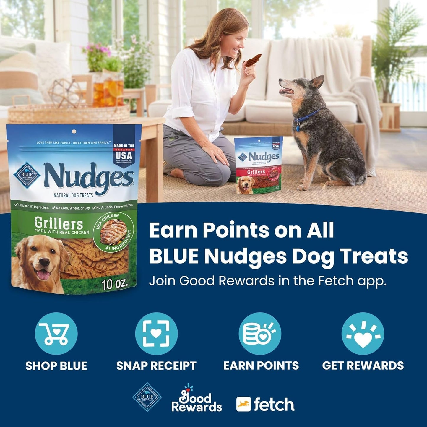 Nudges Homestyle Natural Dog Treats Made with Real Chicken, Made in the USA, Chicken, 10-Oz Bag