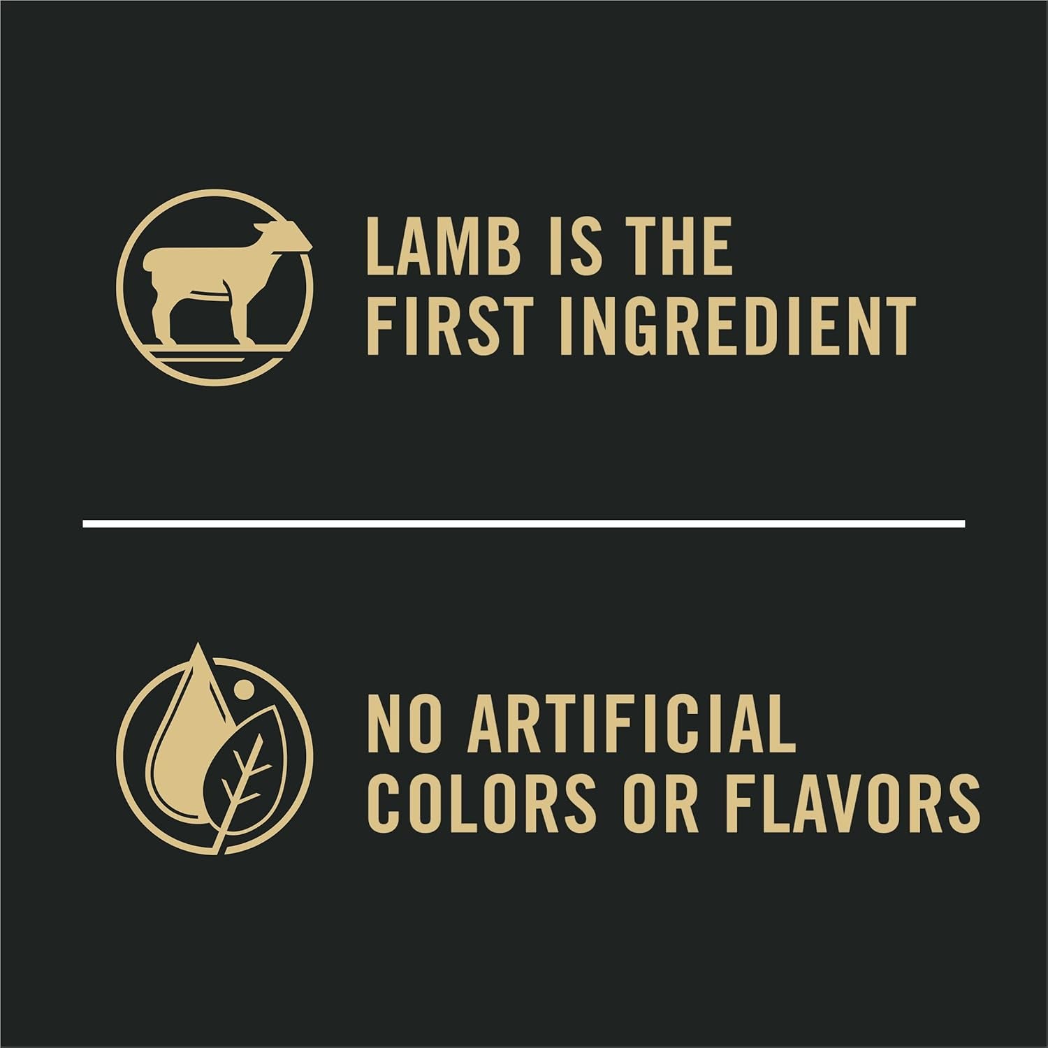 Complete Essentials Shredded Blend Lamb and Rice High Protein Dog Food with Probiotics for Dogs - 15 Lb. Bag