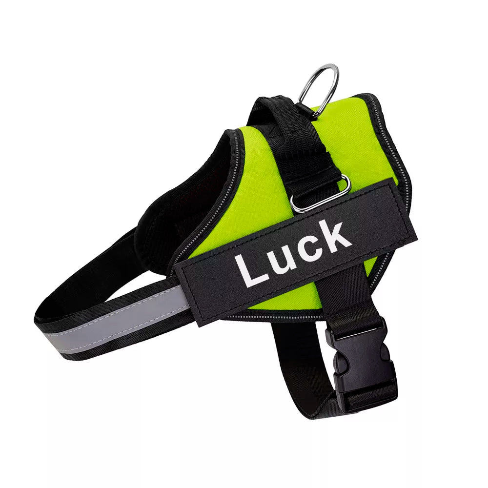 Personalized harness for dog - vippet.org