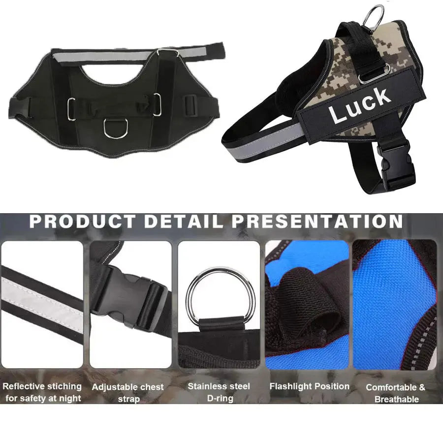 Personalized harness for dog - vippet.org