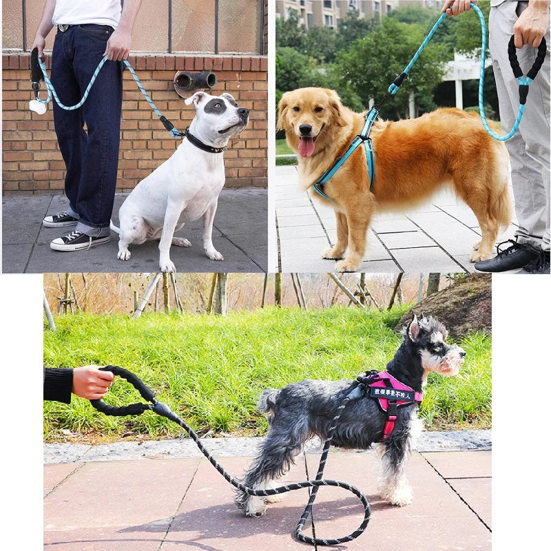 Strong Dog Leash - vippet.org