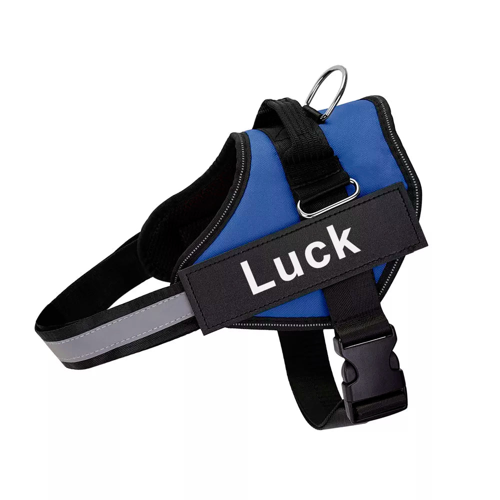 Personalized harness for dog - vippet.org