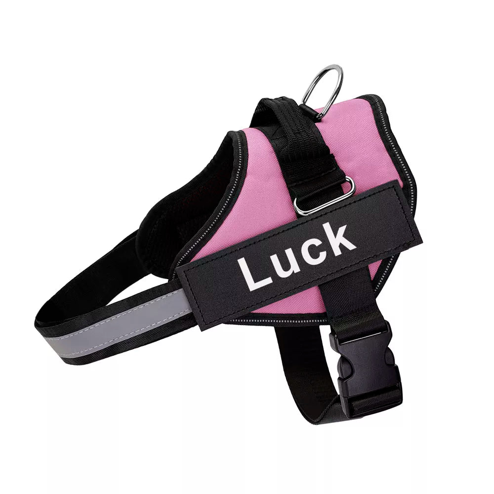 Personalized harness for dog - vippet.org