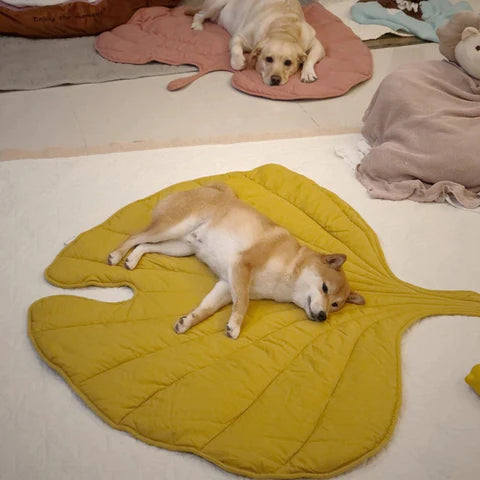 Reversible Leaf-Shaped Pet Mat - Soft, Washable Cotton Bed for Dogs & Cats - vippet.org