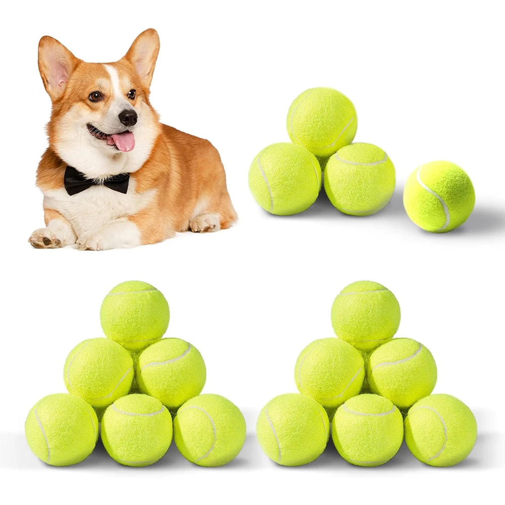 Pack Mini Tennis Balls for Launchers