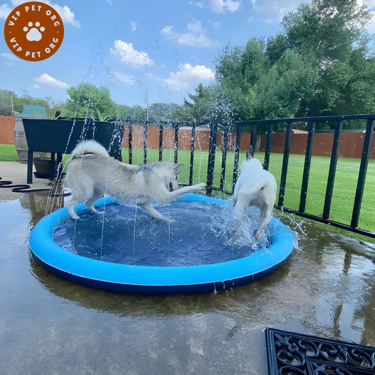 Water Jet Pet Pool