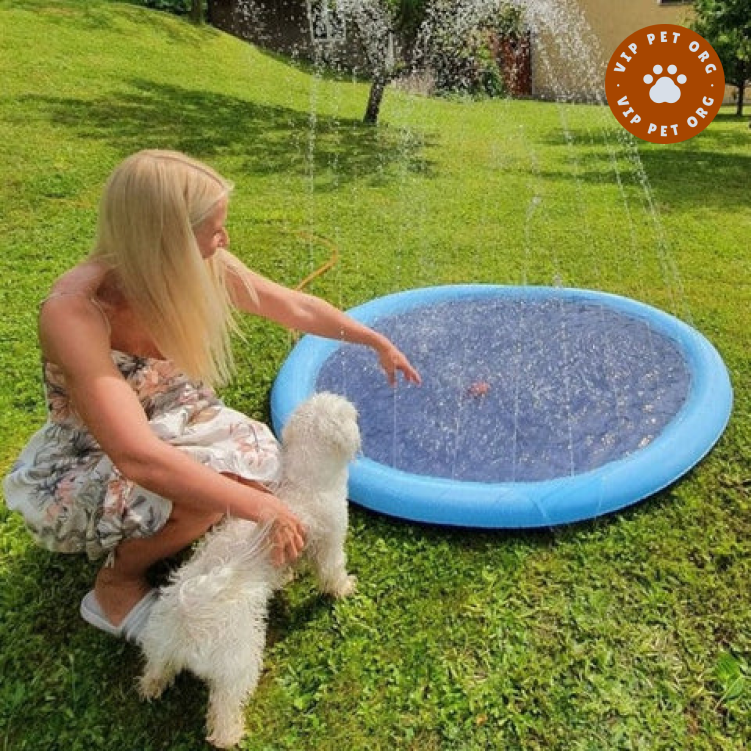 Water Jet Pet Pool