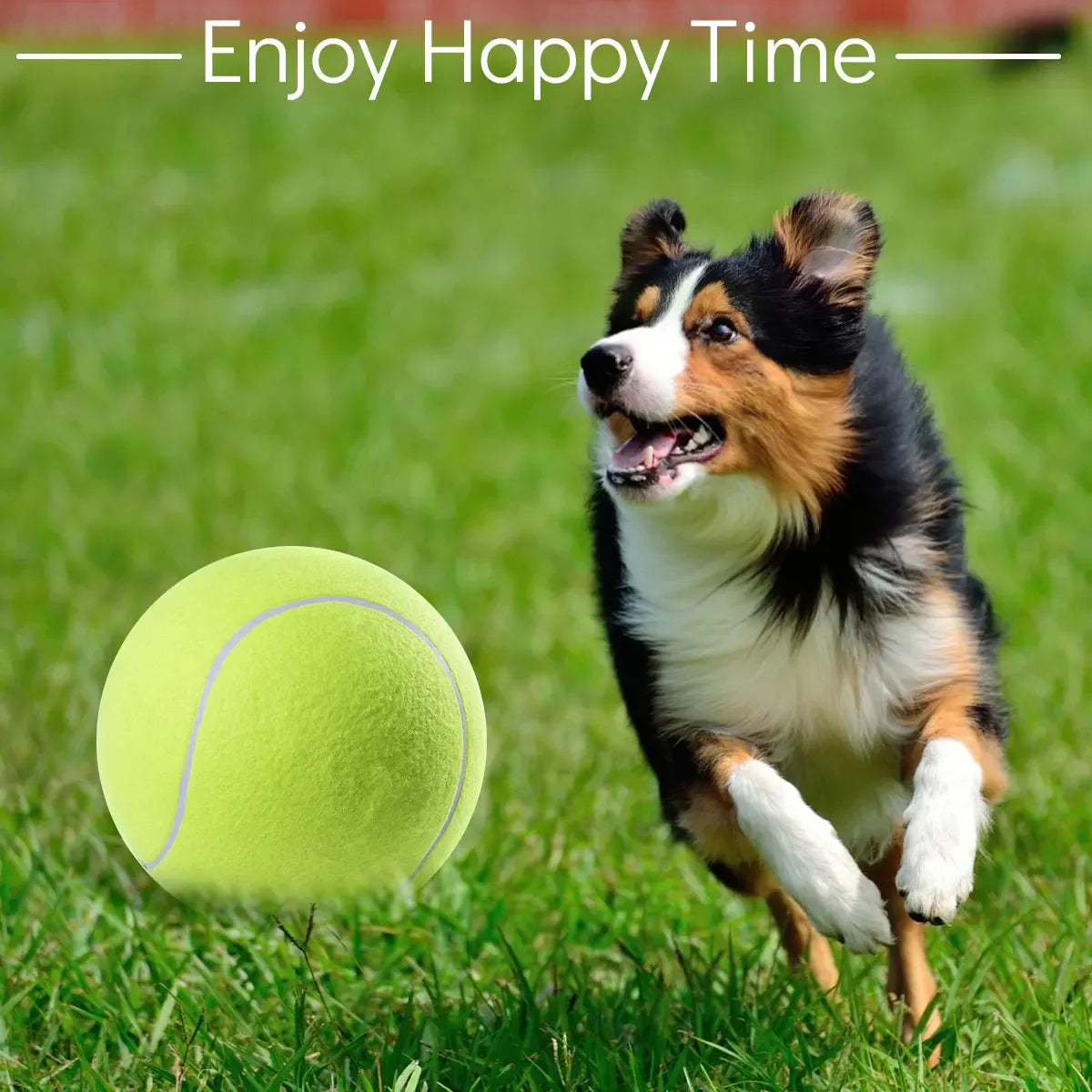 Ultra-Durable Giant Tennis Ball for Pets