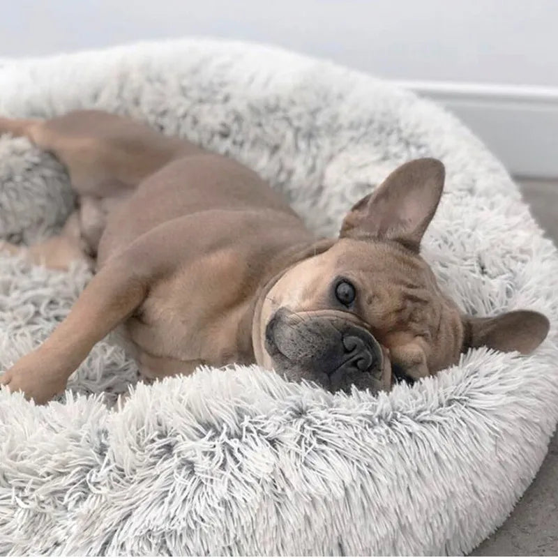 VIP Pet Dog Bed - vippet.org