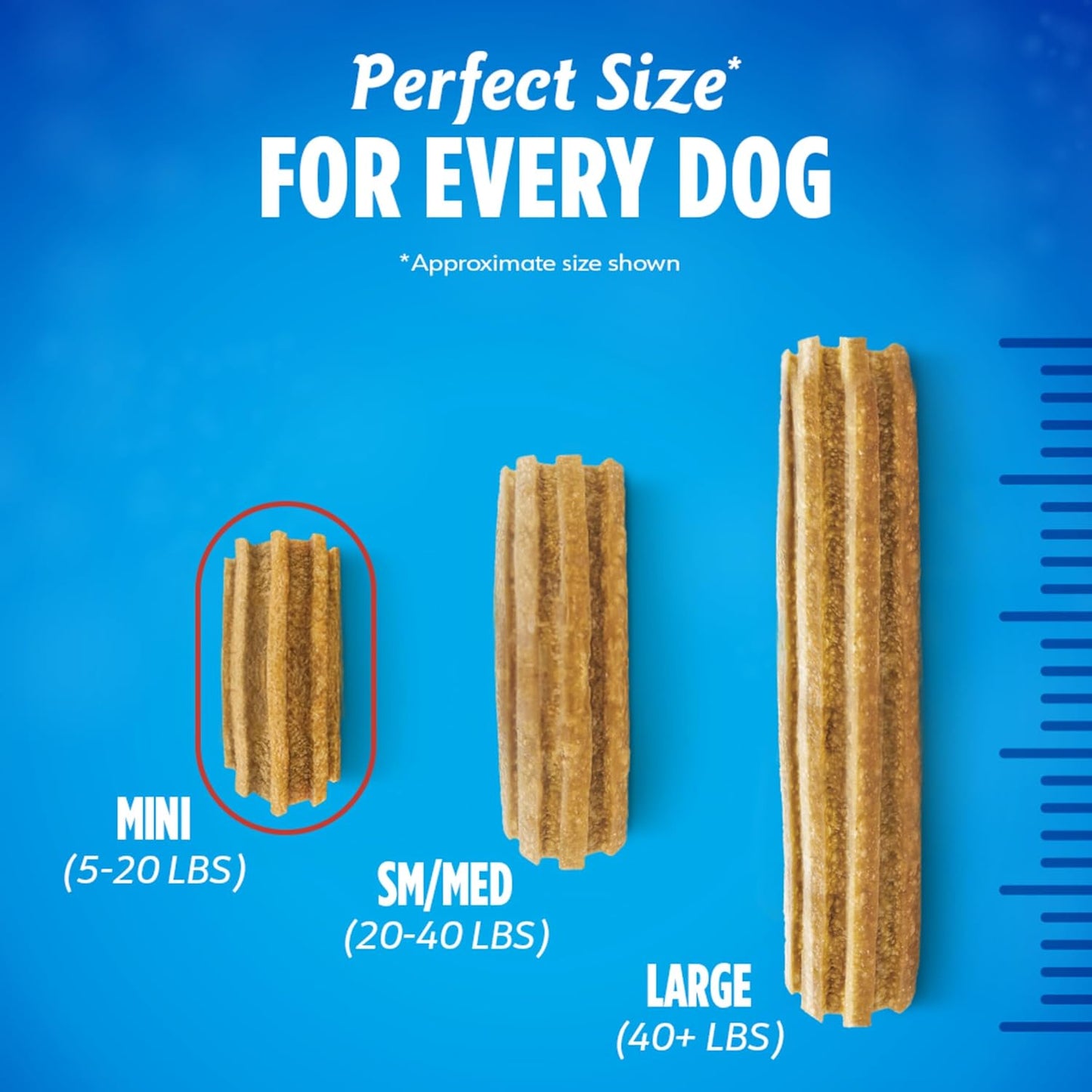 Daily Oral Care Dog Treats for Small Dogs 5-20 Lbs., Chewy Dental Treat to Freshen Breath and Fight Tartar, Chicken Flavor, 17.1 Oz., 58 Chews - 58 Ct. Pouch