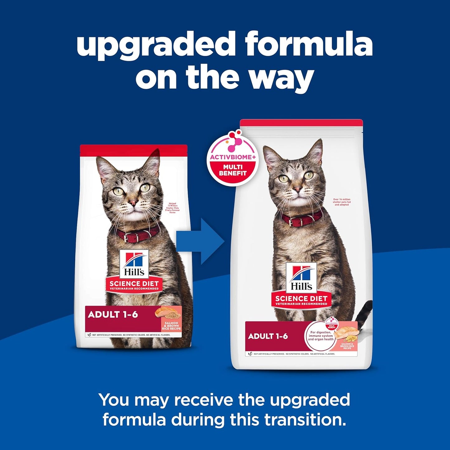 Adult 1-6, Adult 1-6 Premium Nutrition, Dry Cat Food, Salmon & Brown Rice, 6.5 Lb Bag