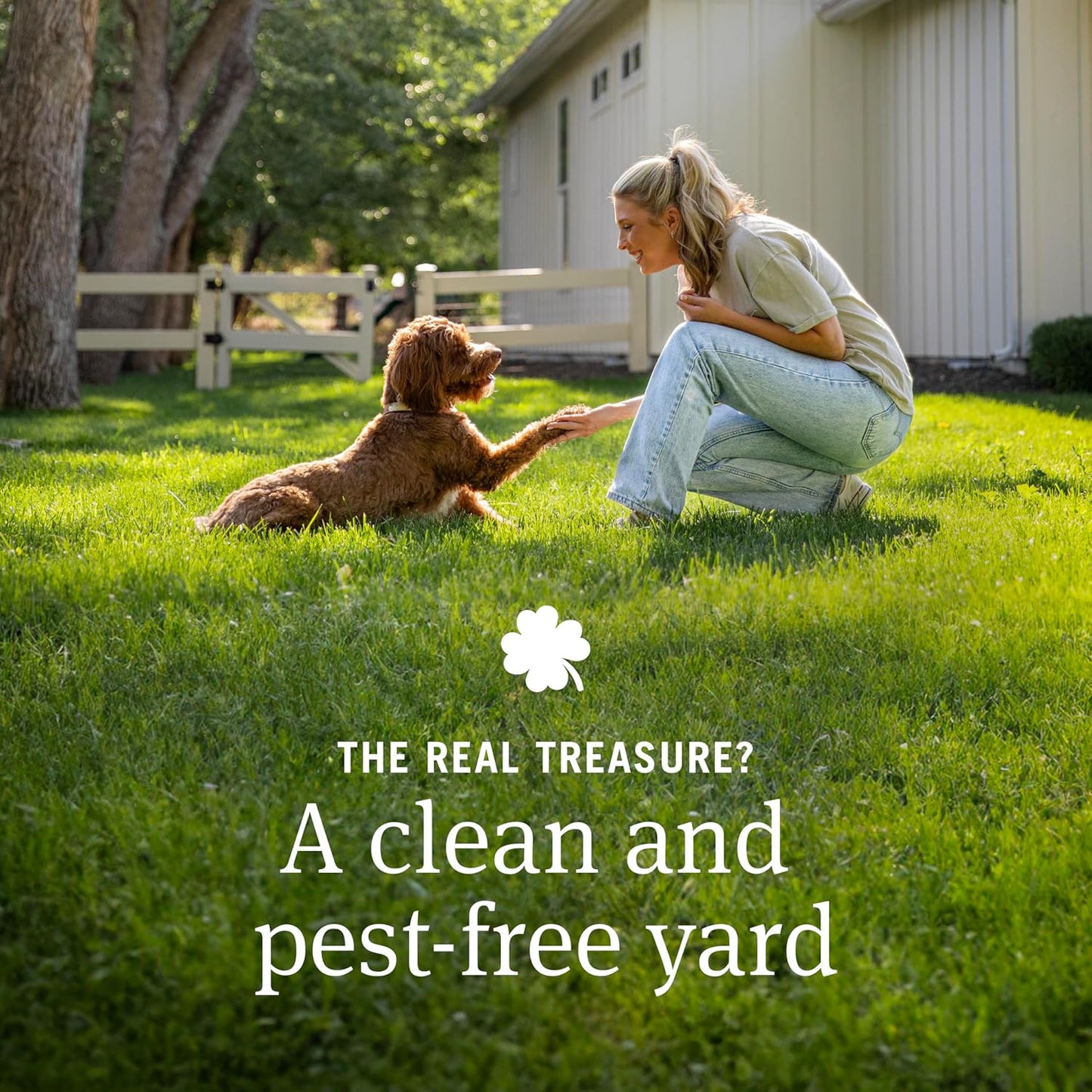 Home Yard Spray for Dogs, Kills and Protects against Fleas, Ticks, Mosquitoes, Ants, and Other Bugs, 32Oz