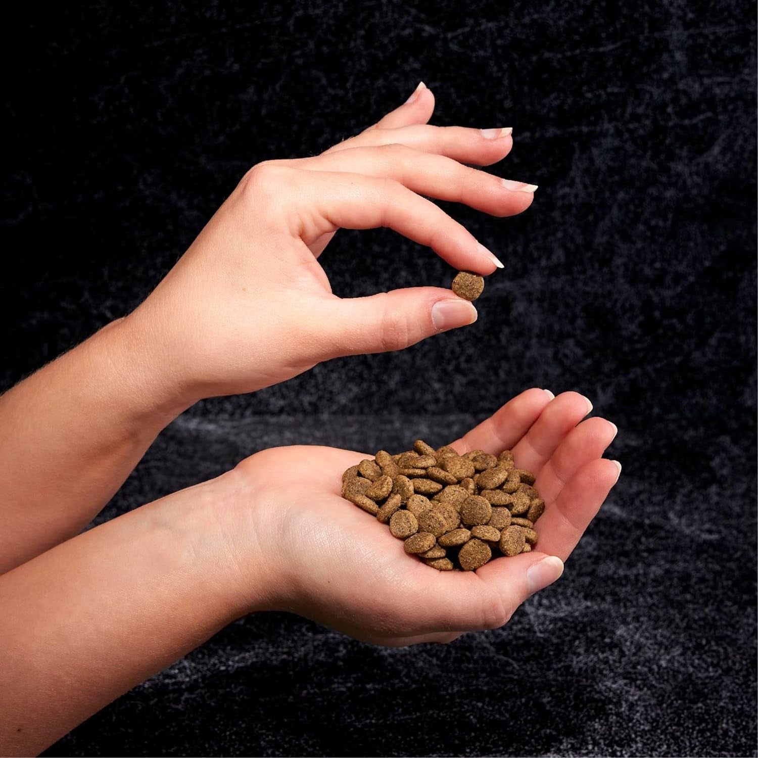 Grain Free Indoor Adult High Protein Natural Dry Cat Food with Protein from Chicken & Salmon, 10 Lb. Bag