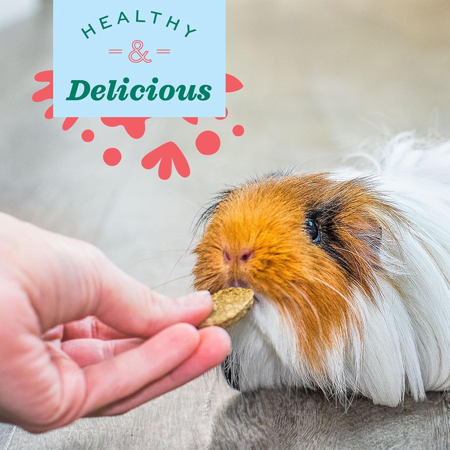 Animal Health Natural Science Vitamin C Supplement, Vitamin C for Guinea Pig, Made with Timothy Hay, Pet Supplements for Guinea Pigs, Veterinarian Formula, Made in USA, 4.2 Oz Bag