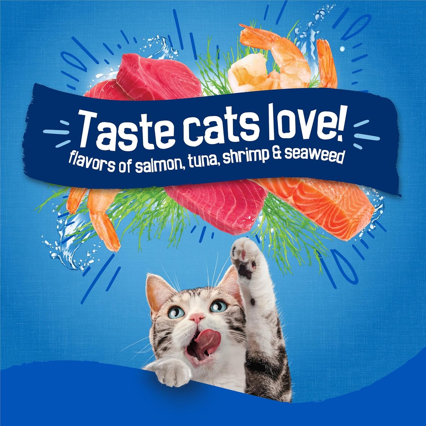 Purina Dry Cat Food Seafood Sensations with Salmon, Tuna, and Shrimp Flavors - 22 Lb. Bag