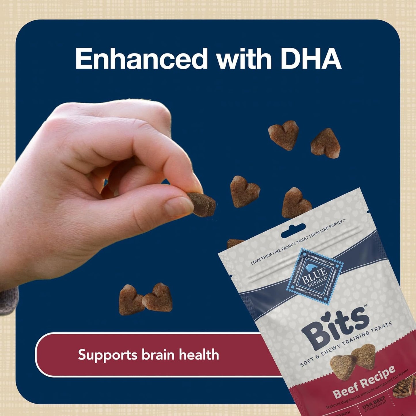 Bits Soft Dog Treats for Training, Made with Natural Ingredients & Enhanced with DHA, Beef Recipe, 11-Oz Bag