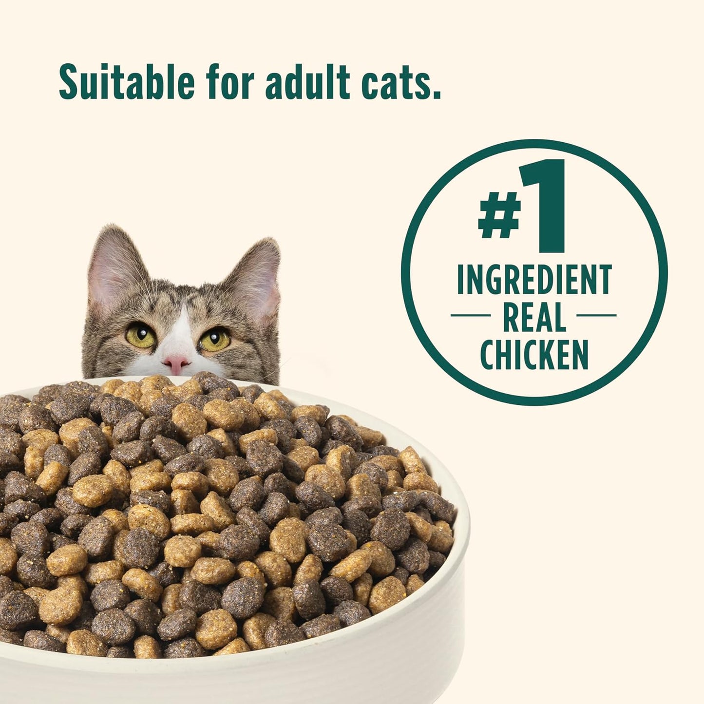 Rachael Ray Indoor Complete Premium Natural Dry Cat Food, Chicken with Lentils & Salmon Recipe, 6 Pounds (Packaging May Vary)