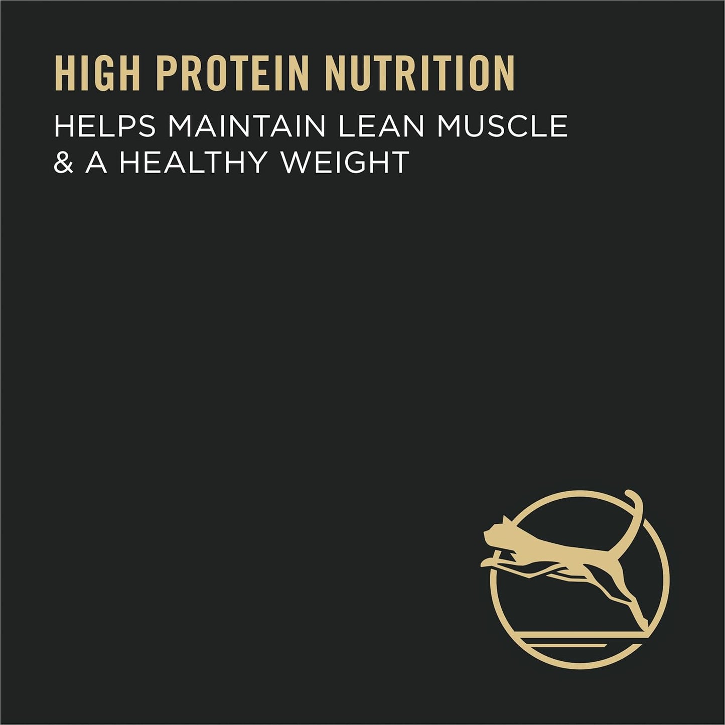 Hairball Management, Indoor Cat Food, Salmon and Rice Formula - 7 Lb. Bag