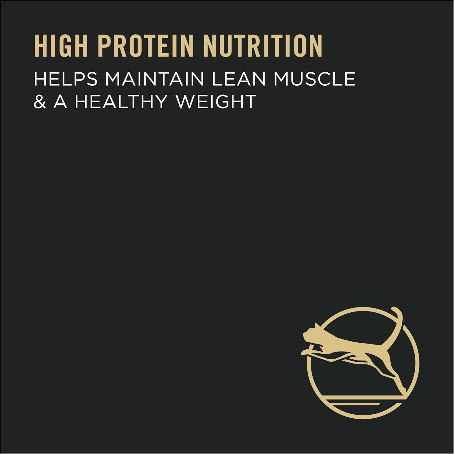 Hairball Management, Indoor Cat Food, Salmon and Rice Formula - 7 Lb. Bag